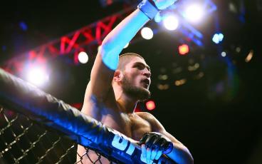 HD wallpaper_ Khabib Nurmagomedov, MMA, UFC, one person, illuminated, night